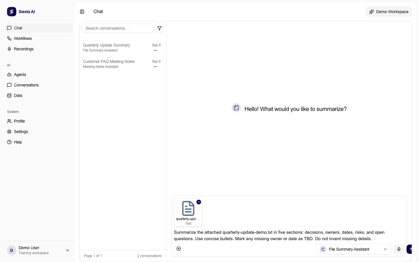Chat composer with an attached sample text file and a structured summary request